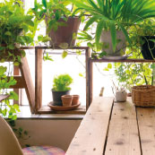 kalista-environnement-vegetalisations-espaces-interieurs-vgt