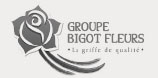 groupe-bigot-fleurs